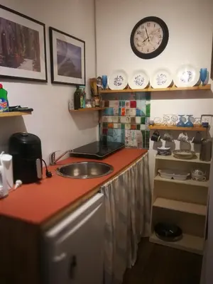 Cuisine ou kitchenette dans l'établissement La appartement des rosiers