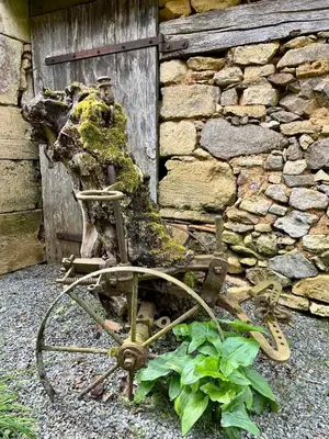 Jardin de l'établissement Le Charme du Perigord - chambre & table d'hotes
