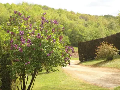 Paysage naturel près de la maison de vacances