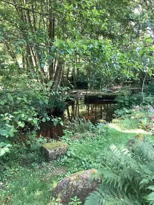 Paysage naturel près de la maison de vacances