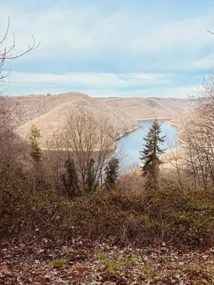 Paysage naturel près de la maison de vacances