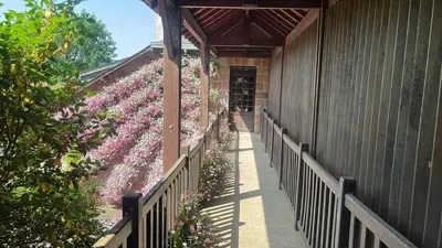 Plan de l'établissement Castel Novel Cottage