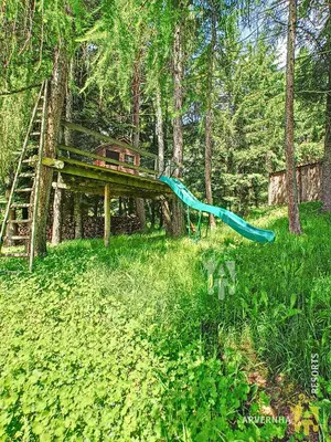 Jardin de l'établissement Chalet Les Mélèzes