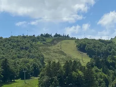 Paysage naturel près de l'appartement
