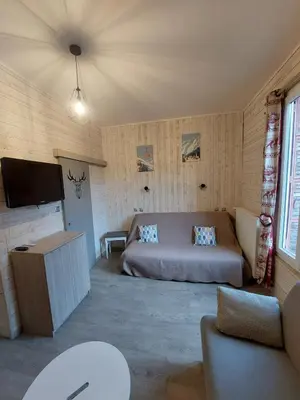 Télévision ou salle de divertissement dans l'établissement Charmant appartement - Le Mont Dore