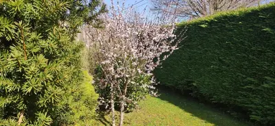 Jardin de l'établissement Rêve d'eau et de Nature