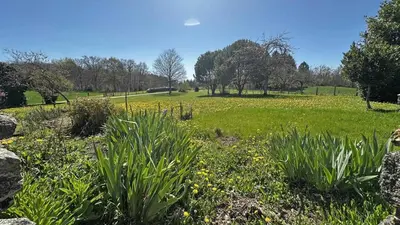 Jardin de l'établissement Gite du tigre