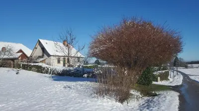 L'établissement Gite du tigre en hiver