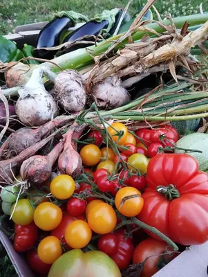 Nourriture dans la maison d'hôtes ou à proximité