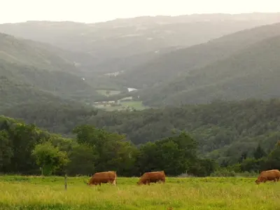 Paysage naturel près de la maison de vacances