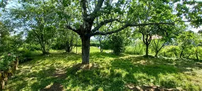 Jardin de l'établissement chambres d'hôtes Imago