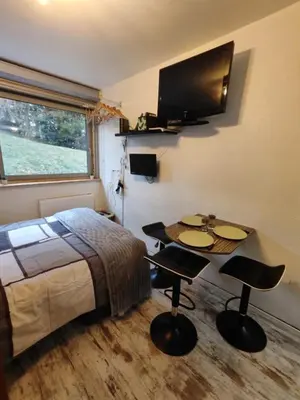 Télévision ou salle de divertissement dans l'établissement Studio à Super Besse