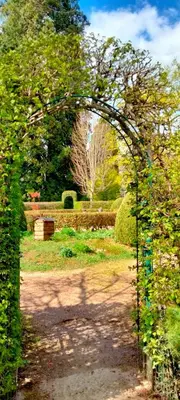 Jardin de l'établissement Côté Jardin la belle époque