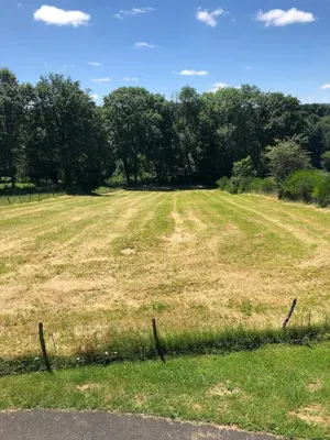 Paysage naturel près de l'appartement
