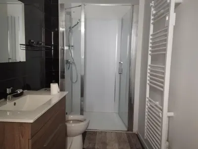 Salle de bains dans l'établissement Appartement Vic-sur-Cère