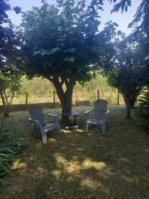 Jardin de l'établissement Gite rural aux portes de l'Auvergne