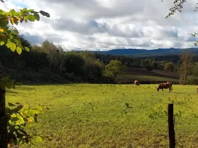 Paysage naturel près de l'appartement