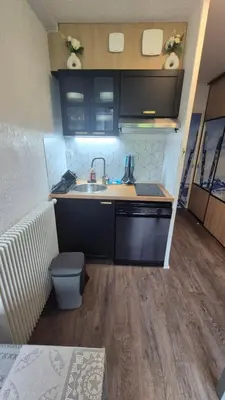Cuisine ou kitchenette dans l'établissement Résidence les grands horizon