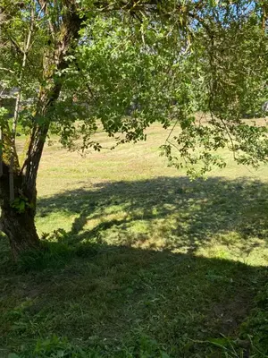 Jardin de l'établissement L'entre Deux