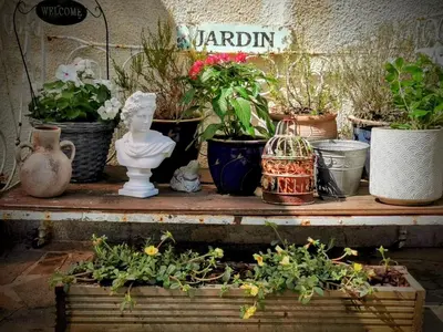 Jardin de l'établissement Maison Rocher