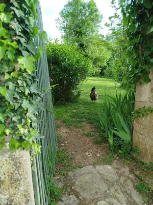 Jardin de l'établissement Terre de Plaisirs