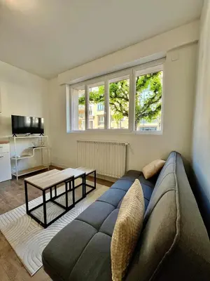 Télévision ou salle de divertissement dans l'établissement T2 lumineux rue Théodore bac-DABNB