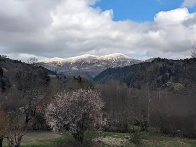 Paysage naturel près de l'appartement