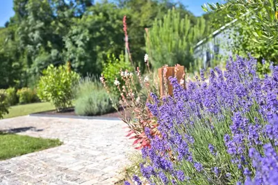 Jardin de l'établissement La Grange de Louvadour