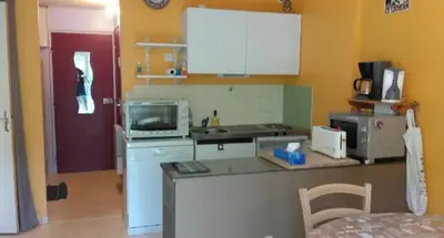 Cuisine ou kitchenette dans l'établissement Appt au lioran à Laveissiere, 6pers, 1 chambre, lits superposés et canapé