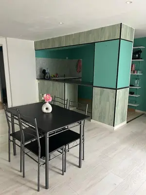 Cuisine ou kitchenette dans l'établissement Appartement Mauriac