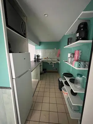 Cuisine ou kitchenette dans l'établissement Appartement Mauriac