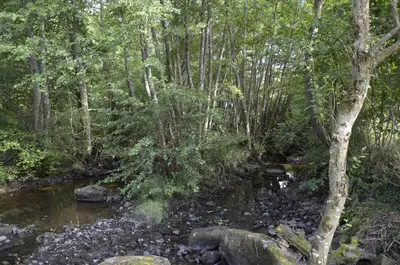 Paysage naturel près de la maison de vacances