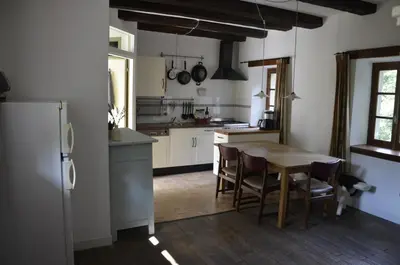 Cuisine ou kitchenette dans l'établissement Renovated water mill next to the river Tardes