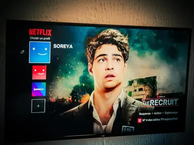 Télévision ou salle de divertissement dans l'établissement JOLI STUDIO AVEC PARKING ET NETFLIX - Proche du palais des exposition, du stade de Beaublanc et du Zenith