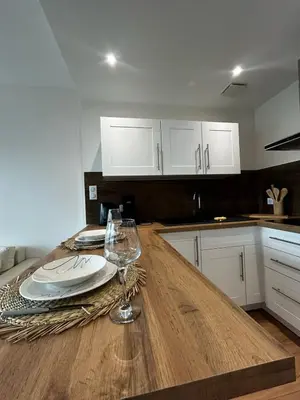 Cuisine ou kitchenette dans l'établissement La Suite Vienne, chic et calme