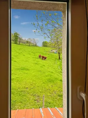 Jardin de l'établissement Maison au cœur de la vallée du Cantal - 2pers