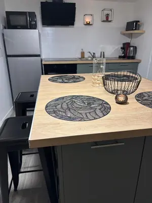 Cuisine ou kitchenette dans l'établissement Lesjolislogementsbrivistes exception