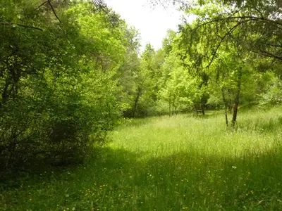 Paysage naturel près de le camping