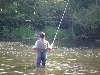 Vue sur la rivière ou le fleuve situé(e) à proximité de le camping
