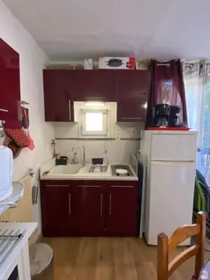 Cuisine ou kitchenette dans l'établissement Studio 2 à 4 personnes avec balcon et parking