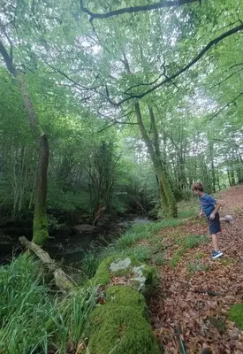 Paysage naturel près de la maison de vacances