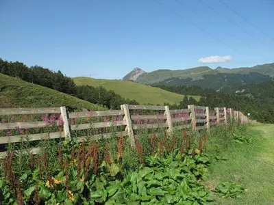 Paysage naturel près de l'appartement