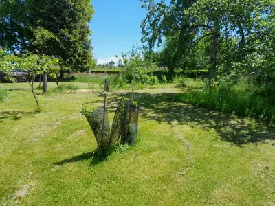 Jardin de l'établissement Maison de campagne