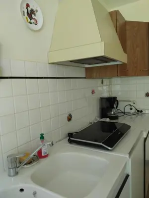 Cuisine ou kitchenette dans l'établissement Les Lauriers