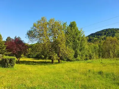 Paysage naturel près de l'appartement