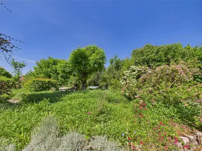 Jardin de l'établissement Gite mitoyen - 4 personnes - piscine commune