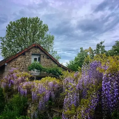 Vakantiehuis in groene oase