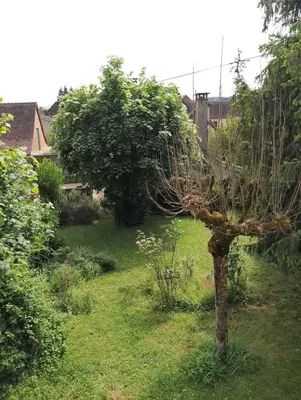 Jardin de l'établissement Charmante maison de centre bourg avec jardin