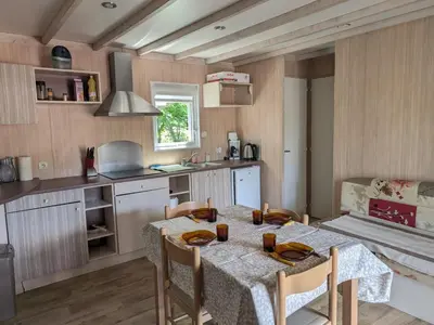 Cuisine ou kitchenette dans l'établissement Mobil-home moderne dans la nature d'Auvergne - FR-1-814-134