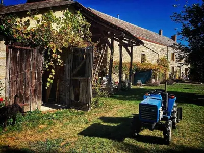 Jardin de l'établissement Vakantiehuis in groene oasis